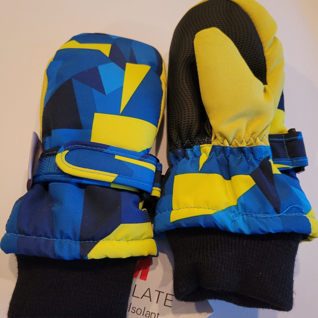 Ski Mitten
